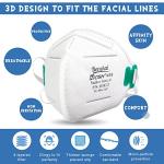 N95 Disposable Respirator Masks, 10-Pack, 95% Filtration