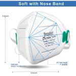 N95 Disposable Respirator Masks, 10-Pack, 95% Filtration