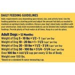 Nature’s Recipe Lamb and Rice Dog Food, 24 lb