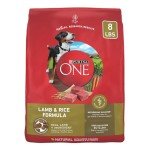 Purina ONE Lamb and Rice Dry Dog Food 8 lbs