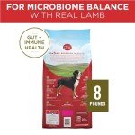 Purina ONE Lamb and Rice Dry Dog Food 8 lbs