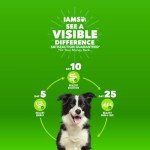 Iams Mini Chunks Dog Food, 7 lbs