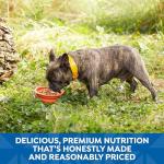 Nature's Recipe Wet Dog Food Variety Pack