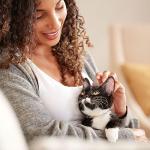 Meow Mix Seafood Variety Pack for Cats