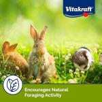 Veggie & Fruity Pie Treats for Small Pets