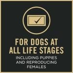 Purina Pro Plan Sport Small Bites Dog Food