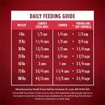 Purina ONE High Protein Wet Dog Food - Beef & Salmon