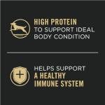 Purina Pro Plan Grain Free Dog Food Pack