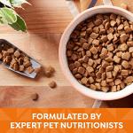 Nature's Recipe Grain Free Chicken & Sweet Potato Dog Food