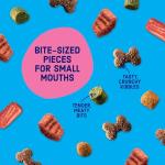 Mini Bits Dog Food with Bacon & Steak Flavor
