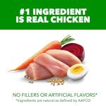 IAMS Proactive Health Minichunks Dry Dog Food, Chicken