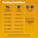 Pedigree Grilled Steak Small Dog Dry Food 14 lb