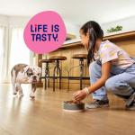 Mini Bits Dog Food with Bacon & Steak Flavor