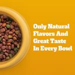 Pedigree Adult Dry Dog Food - Steak & Veggies