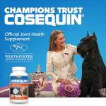 Cosequin DS Chewable Joint Supplement for Dogs