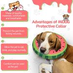 Soft Inflatable Dog Cone Collar for Recovery