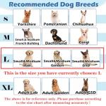 Comfortable Anti-Escape Recovery Collar for Large Dogs