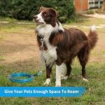 30 FT Heavy Duty Dog Tie Out Cable