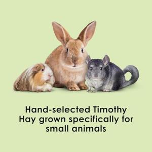 Timothy Hay for Guinea Pigs & Small Pets