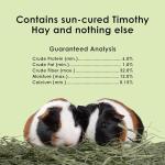 Timothy Hay for Guinea Pigs & Small Pets