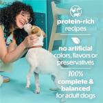 Beneful Small Breed Wet Dog Food Variety Pack