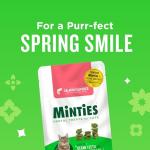 Minties Salmon Dental Treats for Cats, 2.5oz