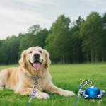 TOPKNOT 30FT Heavy Duty Dog Tie Out Cable