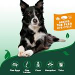 Vet's Best Natural Flea and Tick Home Spray