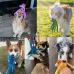 Squeaky Octopus Plush Toy for Puppies - 2 Pack