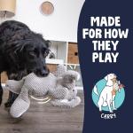 goDog Chew-Guard Plush Dog Toy - Durable Play