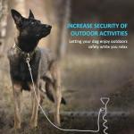 WePet Dog Tie-Out Stake - Durable Outdoor Anchor