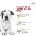 Royal Canin Bulldog Puppy Dry Food, 13.6 kg