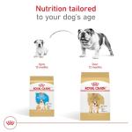 Royal Canin Bulldog Puppy Dry Food, 13.6 kg