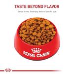Royal Canin Bulldog Puppy Dry Food, 13.6 kg