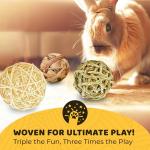 Assorted Chew Balls for Rabbits and Cats