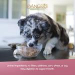 Evangers Classic Canned Dog Food for Puppies
