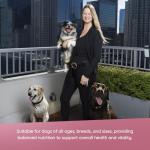 Evangers Classic Canned Dog Food for Puppies