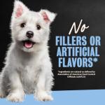 Cesar Wet Puppy Food Trays for Dogs