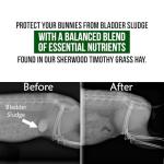 Sherwood Pet Health Rabbit Food - Timothy Hay Pellets