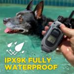 Dogtra 280X Remote E-Collar for Stubborn Dogs