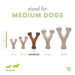 Benebone Wishbone Chew Toy with Real Bacon