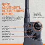 SportDOG SportHunter 1825X 1-Mile Remote Trainer