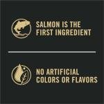 Purina Pro Plan Salmon & Rice Dog Food 15kg