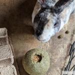 Kaytee Timothy Toy and Treat for Small Pets