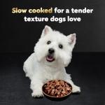 Cesar Wet Dog Food 12-Pack Filet Mignon & Strip