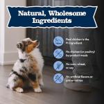 Soy-Free Chicken Recipe Dry Puppy Food, 4 lb