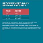 Purina ONE Tender Selects Salmon Dry Cat Food