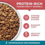 Purina ONE Tender Selects Salmon Dry Cat Food