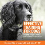 SportDOG YardTrainer 100 Remote Dog Shock Collar