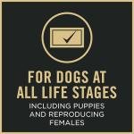 Purina Pro Plan Sport Small Bites Dog Food